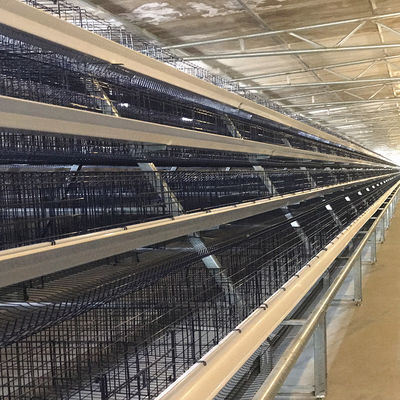 160 Birds Q235 Cage Automatic Poultry Feeding System 4 Layers