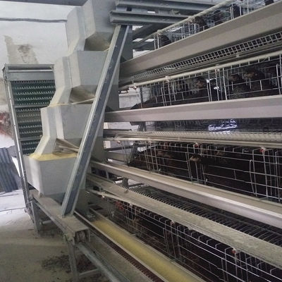 3-8 Tiers Hens Farm Automatic Poultry Feeding System And Drinker SONCAP