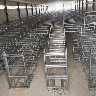 Broiler Automatic Poultry Feeding System Galvanized 3-10 Tiers H Frame Layer Cage