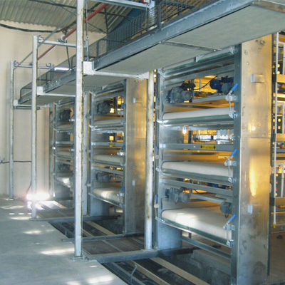 Zinc Alum Farm Cleaning Machine , 2.2kw 3kw H Type Layer Chicken Cage