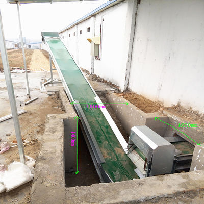 10-12m/Min Belt Poultry Manure Removal System Noiseless For Chicken Farm