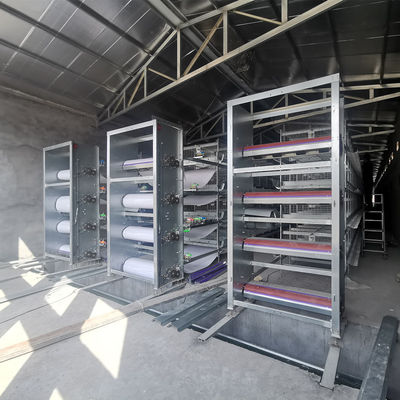 H-Type Automatic Broiler Battery Cage System with Hot Dip Galvanizing and Automatic Feeding Trough for High-Density Poultry Farms