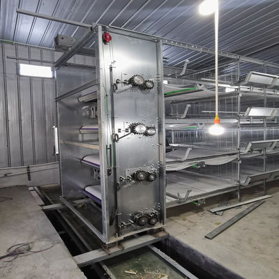 0.75kw H Type Automatic Poultry Feeding System For Chicken Layer Cage