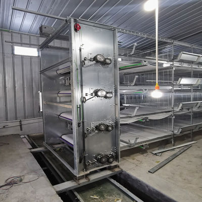 H-Type Automatic Broiler Battery Cage System with Hot Dip Galvanizing and Automatic Feeding Trough for High-Density Poultry Farms