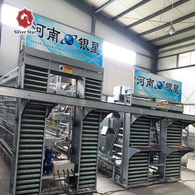 10cm Egg Processing Equipment , Siemens Motor 1.5kw Egg Laying Chicken Cages