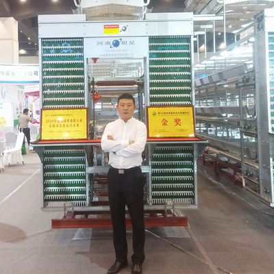 A / H Type Chicken Egg Collection System , 3-6mm Poultry Processing Equipment