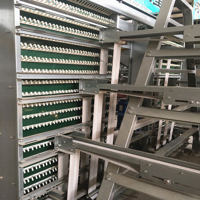 Commercial 5000pcs/Layer Zn Al Steel Poultry Egg Collection System 100mm Width