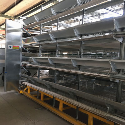 A / H Type Chicken Egg Collection System , 3-6mm Poultry Processing Equipment