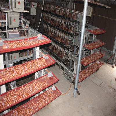4 Layers 2mm Battery Cage Poultry Egg Collection System ISO9001 Certificated