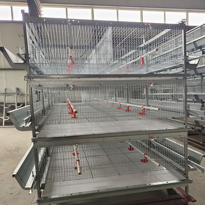 Q235 Chicken Cages Poultry Farming Equipment 3-6mm Thickness