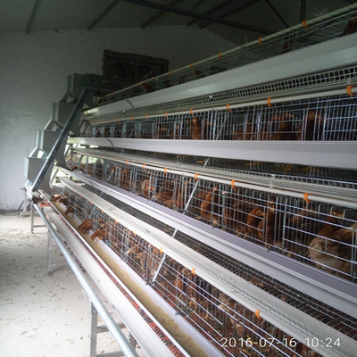 Q235A 3 Tiers Layer Chicken Cage A Type Poultry Farming Equipment