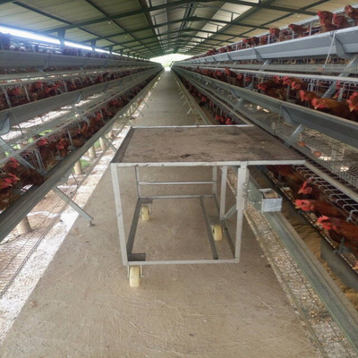 A Type H Type Layer Chicken Battery Cage System Poultry Layer Breeding Equipment