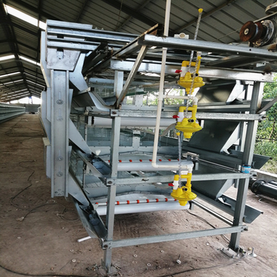 Modern Automatic 144 Birds Laying Battery Hen Cage Poultry Farming Equipment