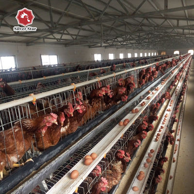 Hot-Dip Galvanized H-Type Layer Cage System Fully Automatic Poultry Farming Equipment with 15–20 Year Lifespan