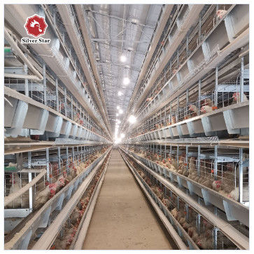 Hot-Dip Galvanized H-Type Layer Cage System Fully Automatic Poultry Farming Equipment with 15–20 Year Lifespan