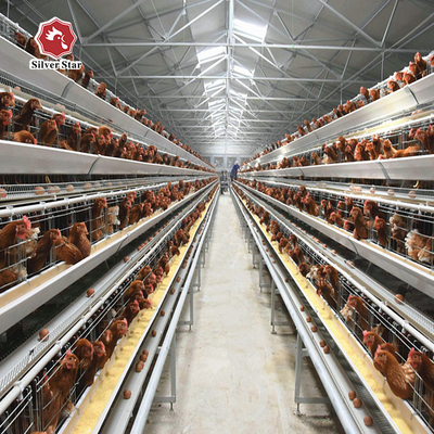 43*41*41 Cm Per Cell Layer Chicken Steel Cage 4 Birds Per Cell