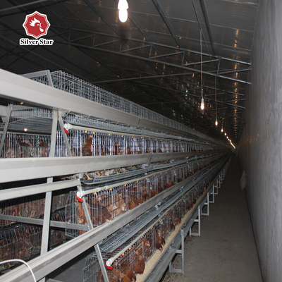 A Frame Hot Dipped Layer Battery Chicken Cage 4 Layers / Cell