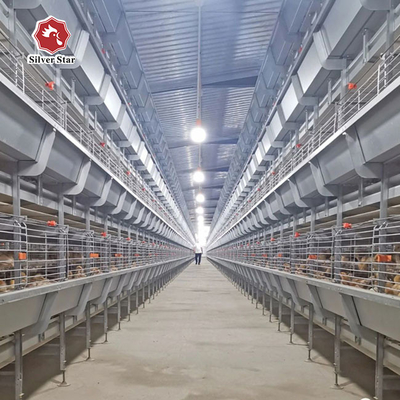 Full Automatic Hot Dipped Broiler Chicken Cage H Type