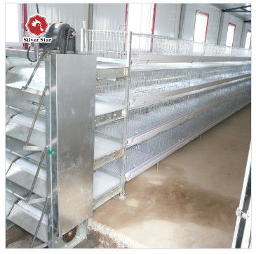 Fully Automated Hot-Dip Galvanized H-Type Broiler Cage System for High-Density Poultry Farming