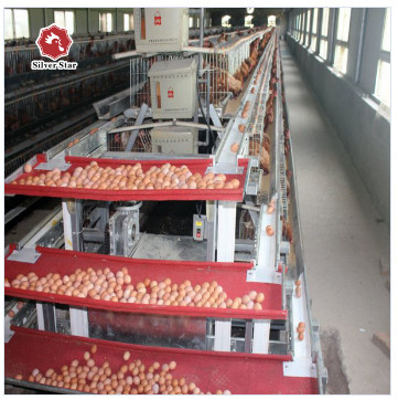 Long Time Use A Type Farm Chicken Battery Cages For Layers