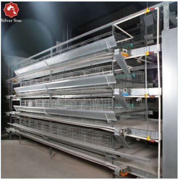 H Type Automatic Layer Chicken Cage Egg Poultry Farming Equipment
