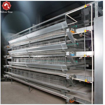 Hot-Dip Galvanized H-Type Layer Cage System Fully Automatic Poultry Farming Equipment with 15–20 Year Lifespan