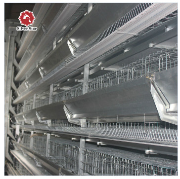 Silver Star Breeding H Type Broiler Cage 3 / 4 Layer Can Be Customized Chicken Coop