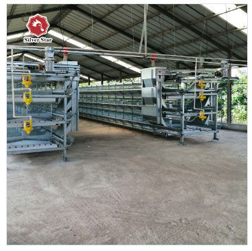 Fully Automated Hot-Dip Galvanized H-Type Broiler Cage System for High-Density Poultry Farming