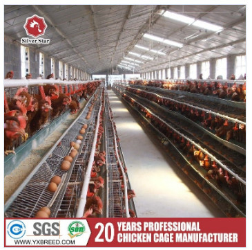 Breeding Equipment Customized Multi Layer Chicken Cage European 54 Chickens