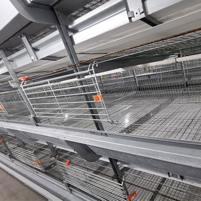 Fully Automated Hot-Dip Galvanized H-Type Broiler Cage System for High-Density Poultry Farming