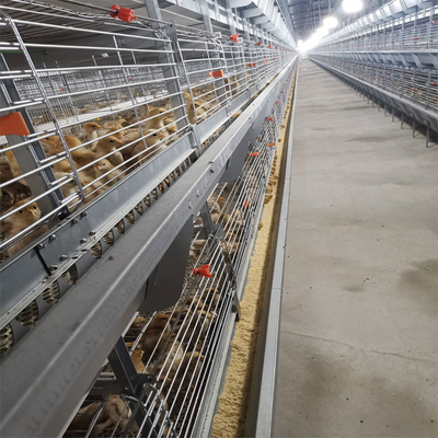 180 Birds H Type Battery Cage Q235A Broiler Farm Equipment
