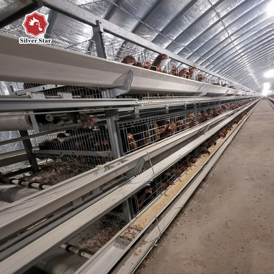 H Type Layer Chicken Cage Hot Dipped Galvanised Chicken Farm