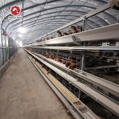 Newest Design Of H Type Layer Chicken Poultry Cage