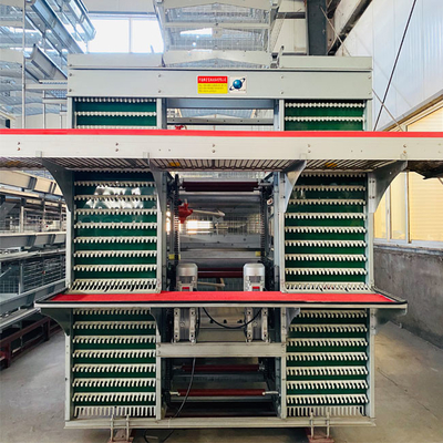 Customized Multi Layer Poultry Cage Automatic Egg Collection Cages