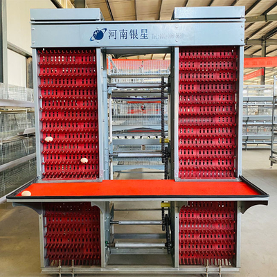 30 Year Service Life Battery Automatic Layer Chicken Cage 9 Birds / Cell