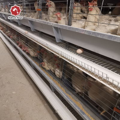 Hot Galvanized Long Lifespan Layer Battery Cages For Farm