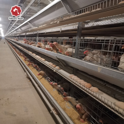 H Type Poultry Equipment Automatic Battery Cage System 9 Layers / Cell