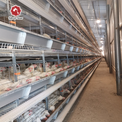 Poultry Chicken Farm Used Layer Chicken Cage 9 Layers / Cell