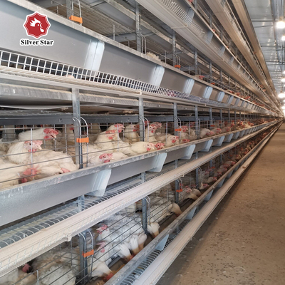 Layers Poultry Farming Battery Chicken Cage H Type 4Tiers 6 Tiers