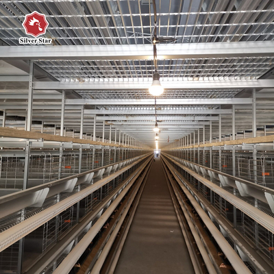 Customized Multi Layer Poultry Cage Automatic Egg Collection Cages