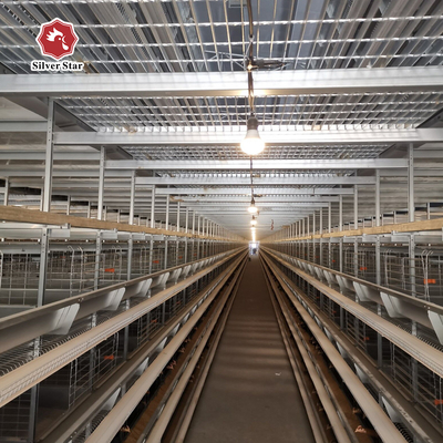 H Type Automatic Poultry Cage For Chicken ，Broiler Cage