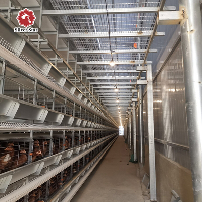 Q235 Automatic Chicken Layer Poultry Cage Corrosion Resistance