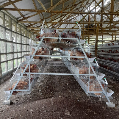 3, 4, 5 Tiers A Frame Layer Cages Chicken Poultry Laying Hens House Equipment