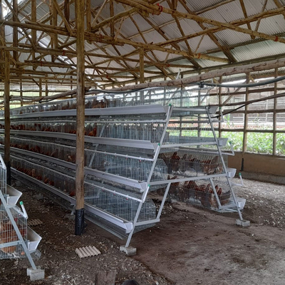 H Type Layer Chicken Cage Hot Dipped Galvanised Chicken Farm