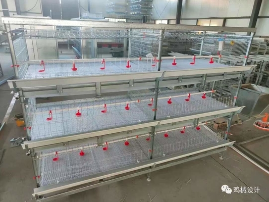 Durable Galvanized Multi Poultry Broiler Cage Large Capacity