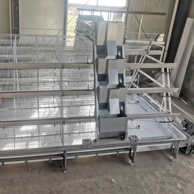 Galvanized Steel Broiler Baby Chick Cage Material Feeding
