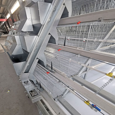 Automatic 3 Tiers Battery Steel Chicken Cage Good Isolation