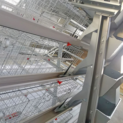 Automatic Galvanized Meat Chick Brooder Cage A Type ISO9001