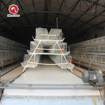 3 Tiers Full Automatic Broiler Baby Chick Cage With Sliding Grids