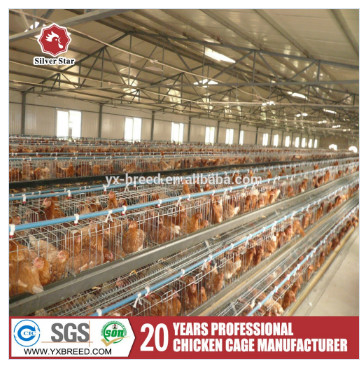 Layer Poultry Equipment A Frame Layer Cages SGS Approved